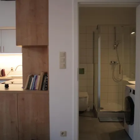 77 Reinholda Finstera