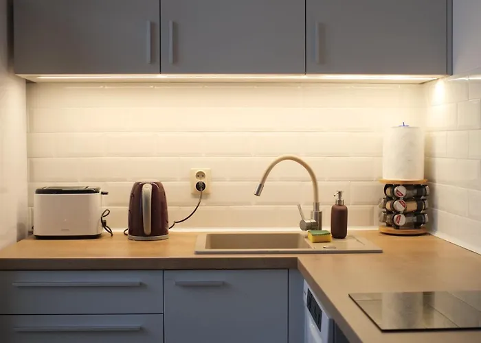 77 Reinholda Finstera 罗兹