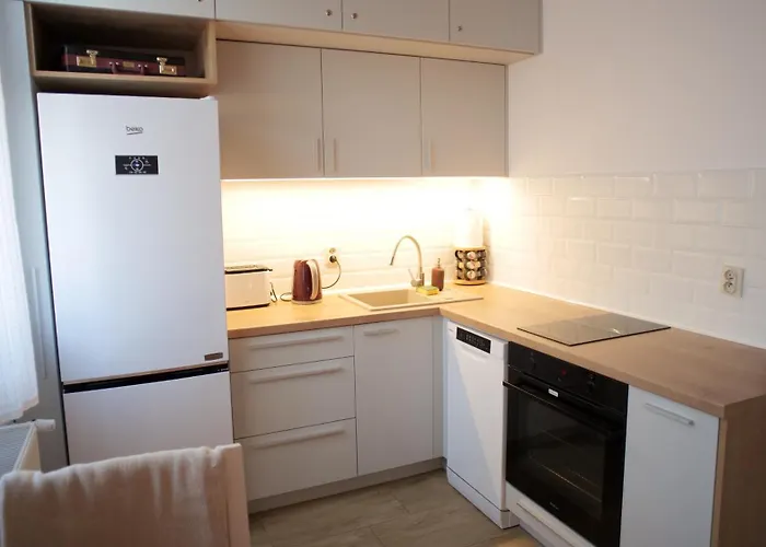 77 Reinholda Finstera *