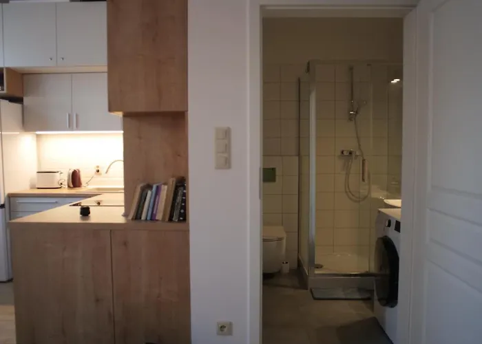 77 Reinholda Finstera